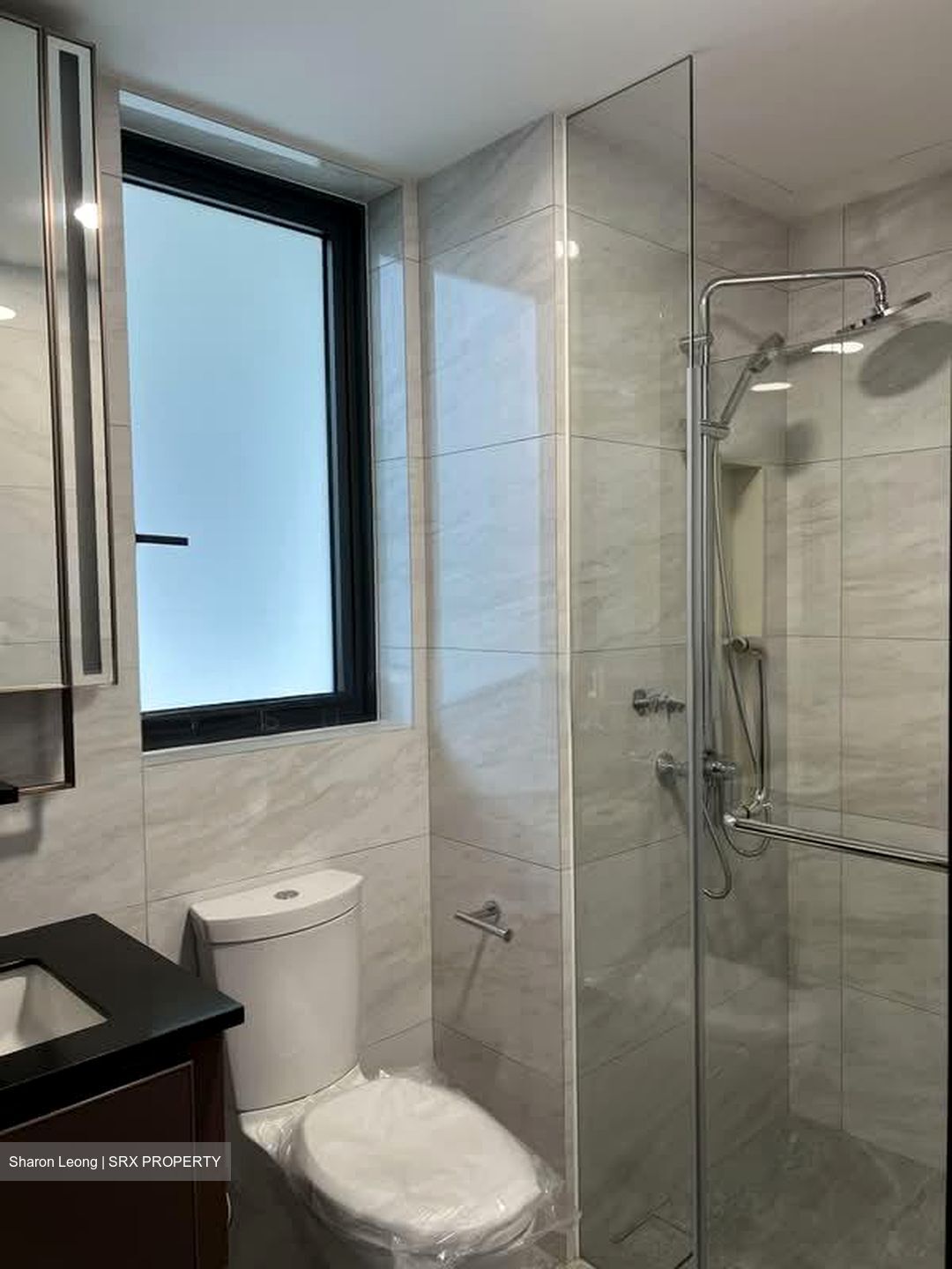 Normanton Park (D5), Apartment #568682191
